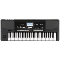 Korg PA300 61-Key Professional Arranger | Touch Display